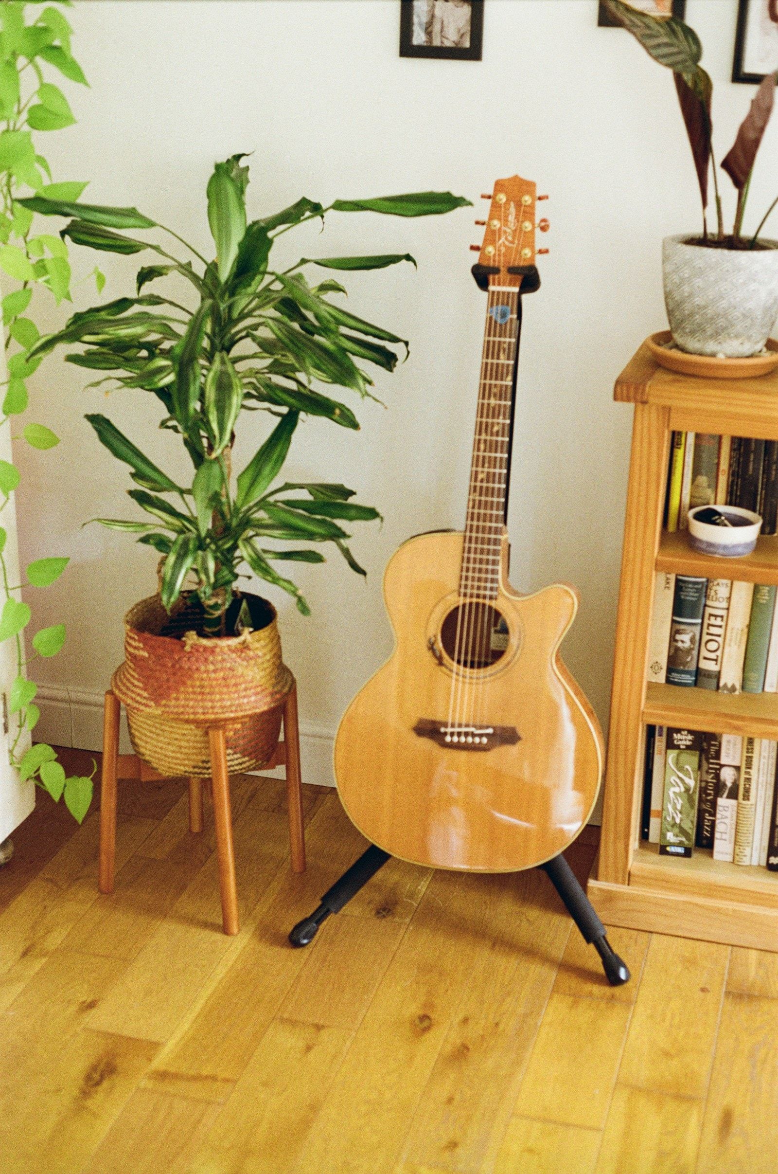 Violão em um suporte ao lado de um vaso de planta e de uma estante com livros.